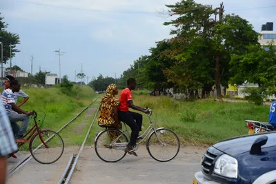 DSC_8793 (Large).JPG